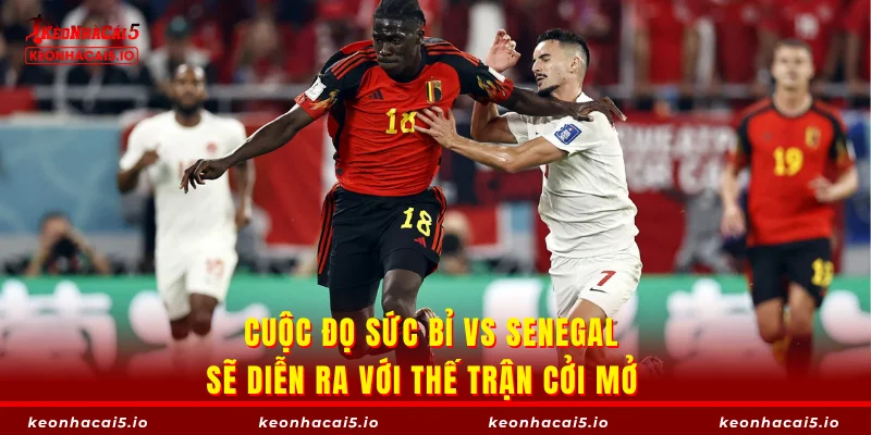 Cuộc đọ sức Bỉ vs Senegal sẽ diễn ra với thế trận cởi mở