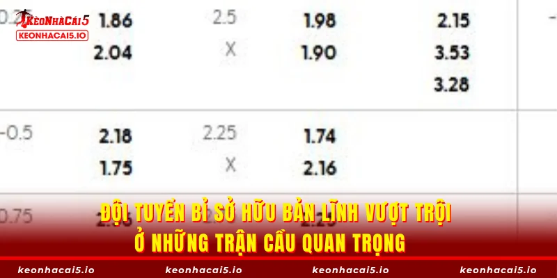 Đội tuyển Bỉ sở hữu bản lĩnh vượt trội ở những trận cầu quan trọng